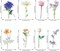 160 Pieces Natural Flower Stickers for Scrapbooking, Self-Adhesive Scrapbooking Stickers Supplies Journal for Adult Card Making Letters DIY
